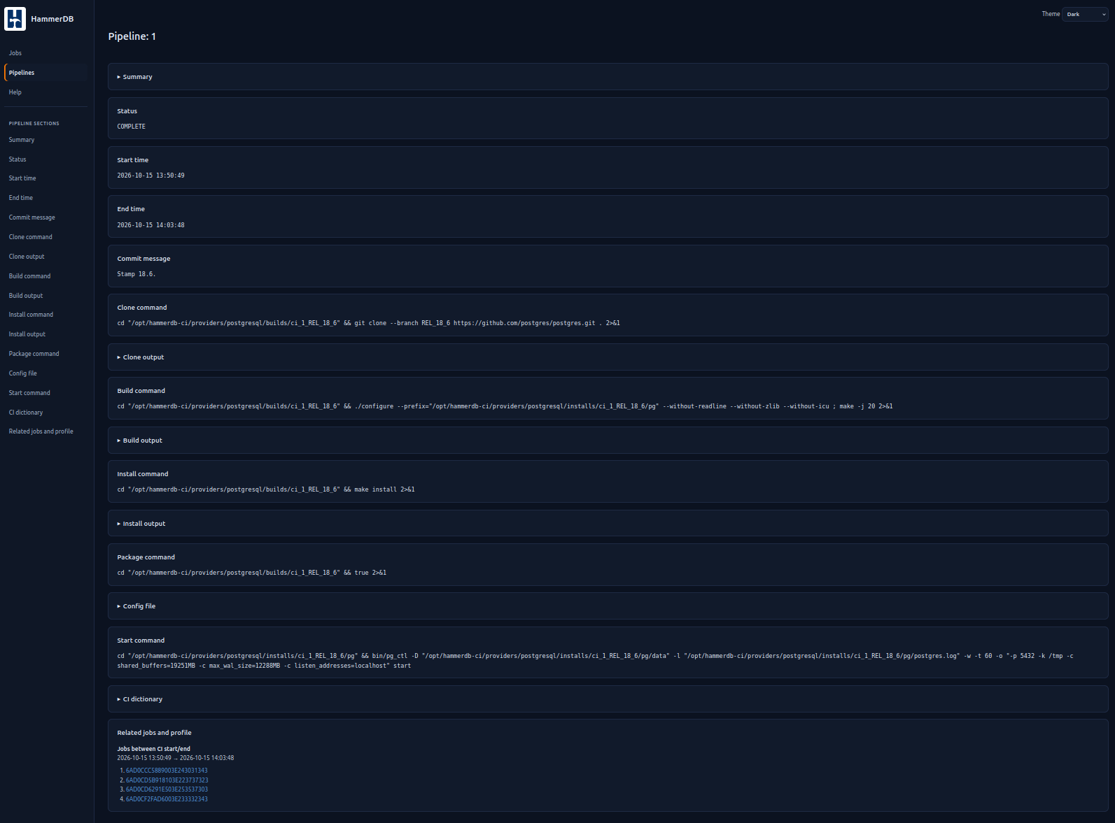 Detailed CI Pipeline Output